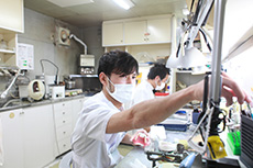 陰の立役者　～歯科技工士・匠の技～